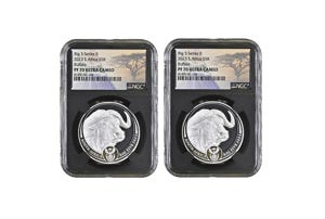 2023 1oz Silver Big 5 Buffalo 2-coin Set Series 2 NGC PF70