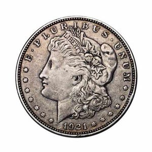 Morgan Silver Dollar VG+