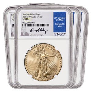 2006 Gold American Eagle Burnished MS70 Set
