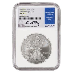 2007 1 oz Silver American Eagle Burnished MS70 Coin