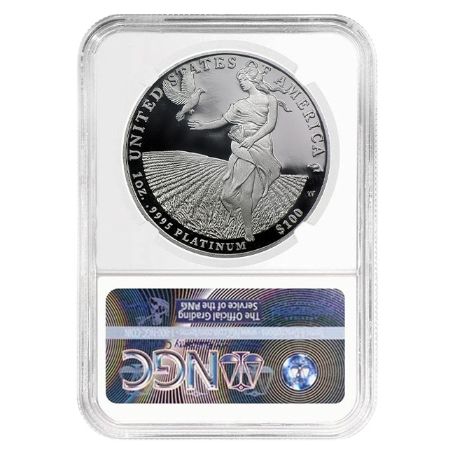 2011 Platinum American Eagle Proof 70 Coin