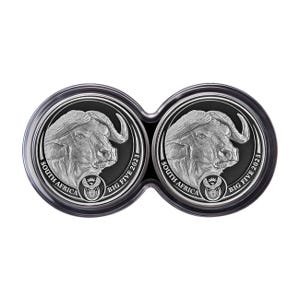 2023 1oz Silver Big 5 Buffalo 2-coin Set Series 2 Proof Coin w/Box & COA