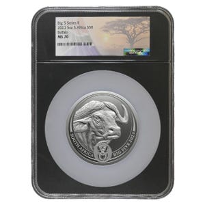 2023 5oz Silver Big 5 Buffalo Series 2 MS70 Coin