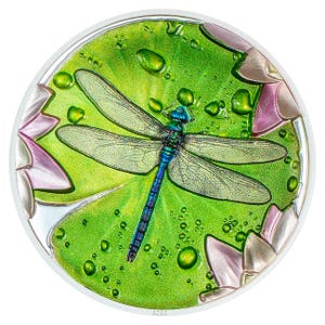 2024 1oz Silver Dragonfly Lily Pad High Relief Proof Coin