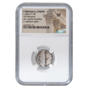Silphium, c. 308-277 BC, CYRENAICA, CYRENE, AR Didrachm, NGC VF