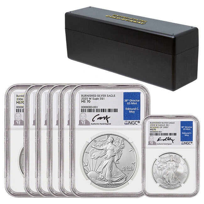 2006-2024 Burnished Silver Eagle MS70 Date Run including the 2008