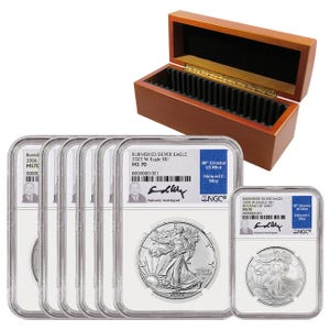 2006-2024 Burnished Silver Eagle MS70 Date Run including the 2008 with the 2007 Reverse