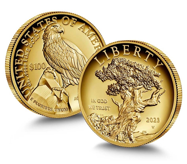 American Liberty 2021 High Relief Gold Coin