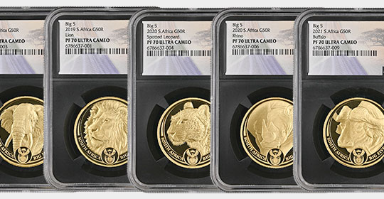 Shop Gold Big 5 Products