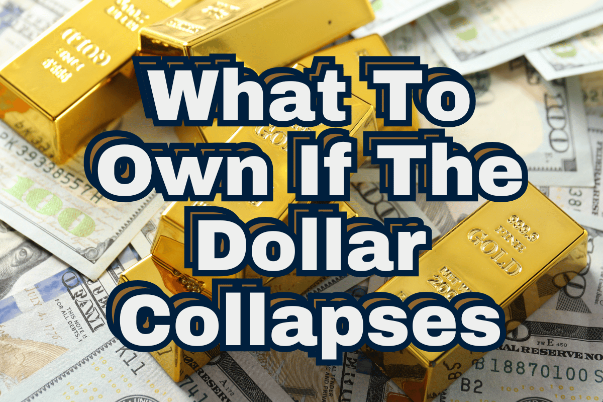 What to Own If the Dollar Collapses What to Own If the Dollar Collapses