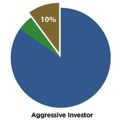 Aggressive Investor