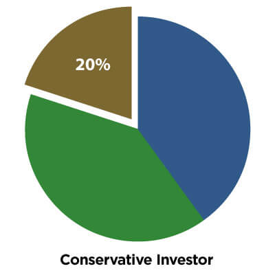 Conservative Investor