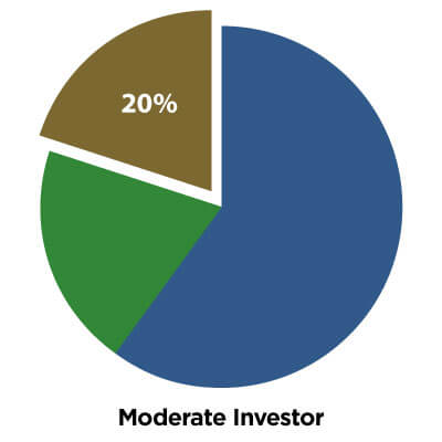 Moderate Investor